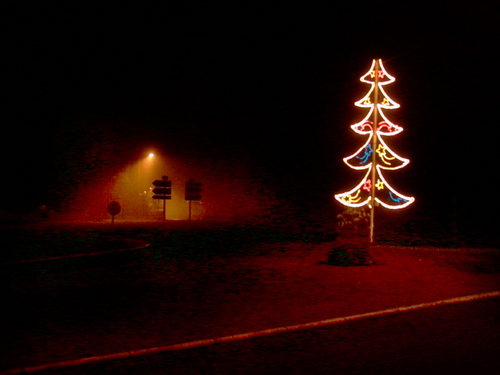 Otannenbaum